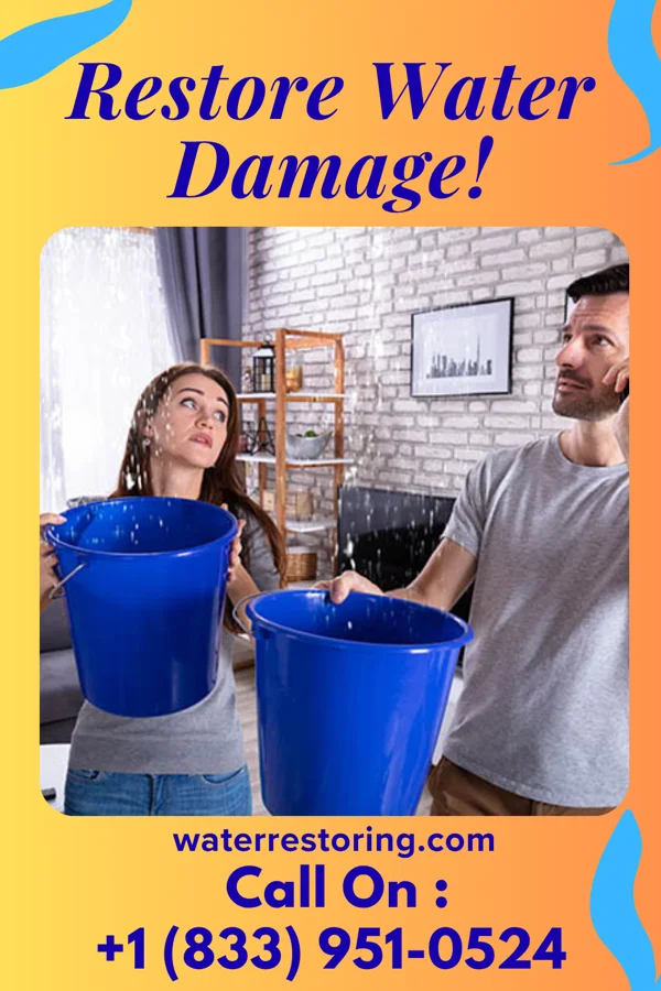 water restoration National Water Restoration & Sons McLemoresville