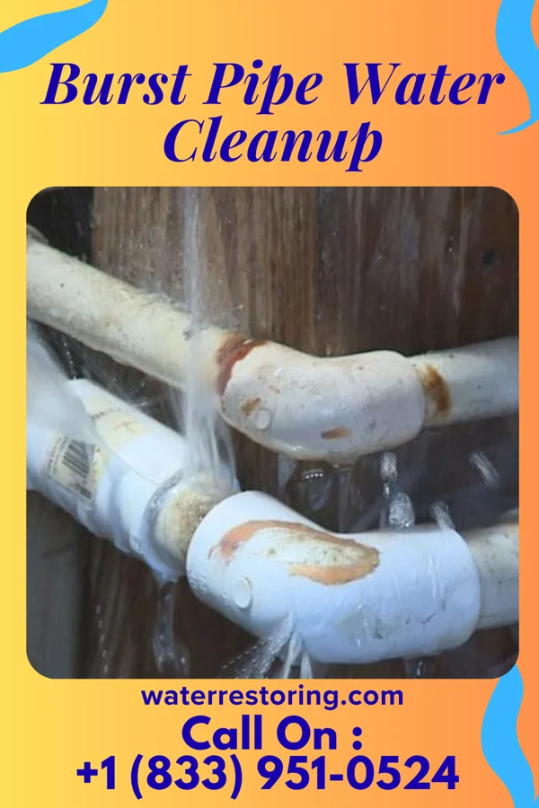 Burst Pipe Water Cleanup in McLemoresville, TN