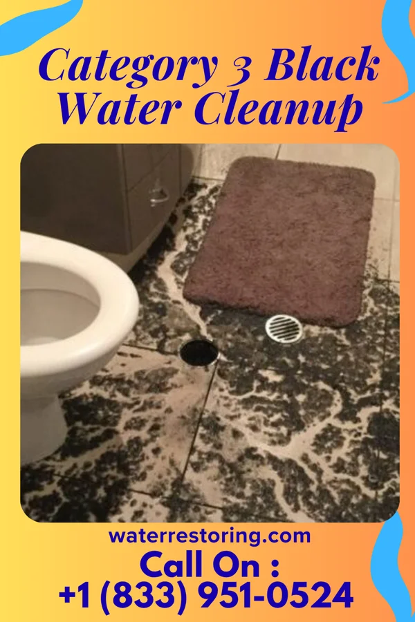 Category 3 Black Water Cleanup in McLemoresville, TN