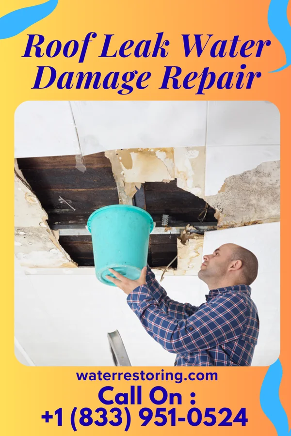Roof Leak Water Damage Repair in McLemoresville, TN