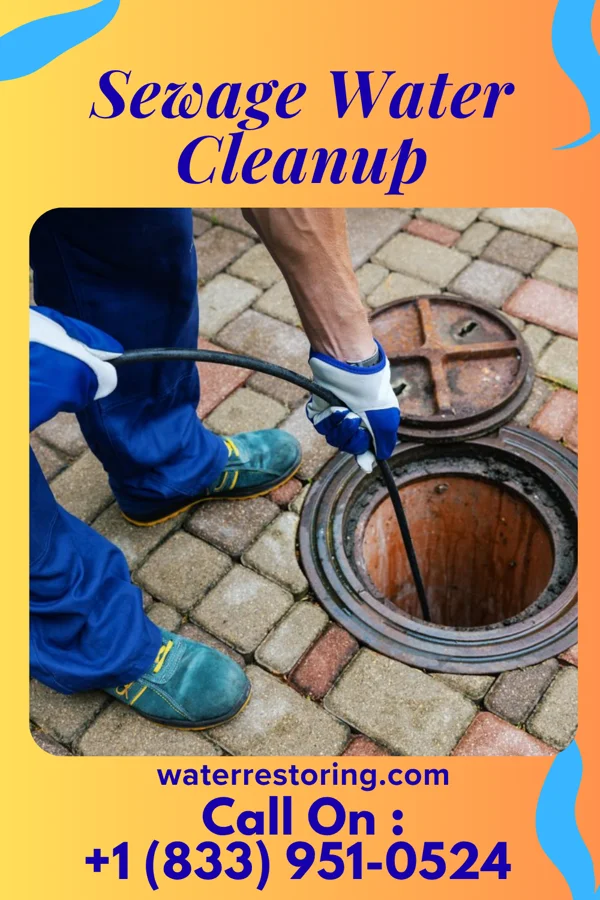 Sewage Water Cleanup in McLemoresville, TN